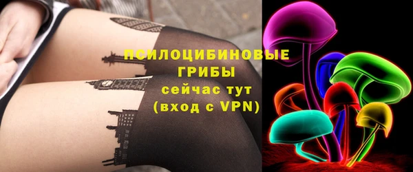 соль ск Нягань